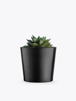 product-image-3_optimized